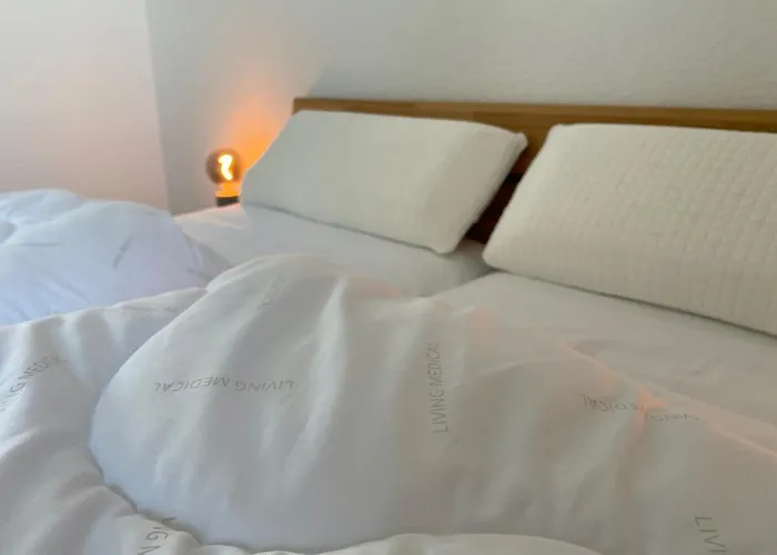 Muschel - Haus Seeschwalbe שיליג